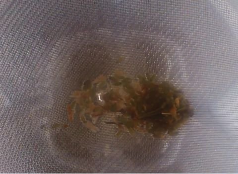 Strain the lavender