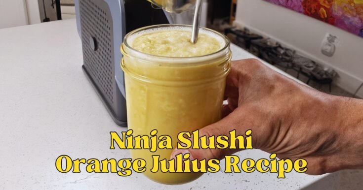 Ninja Slushi Orange Julius Recipe