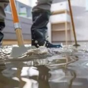 How-Water-Damage-Restoration-Companies-Ensure-Compliance-with-Industry-Regulations