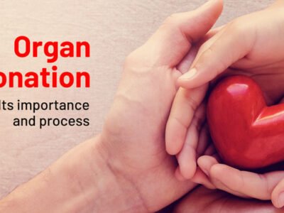 What Makes Tissue Donation One of the Most Powerful Gifts in Medicine?