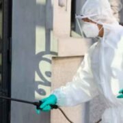 Common-Pest-Challenges-Faced-in-Residential-Areas