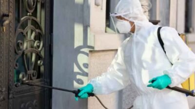 Common-Pest-Challenges-Faced-in-Residential-Areas