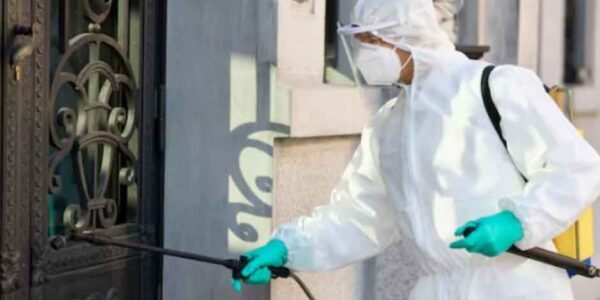 Common-Pest-Challenges-Faced-in-Residential-Areas