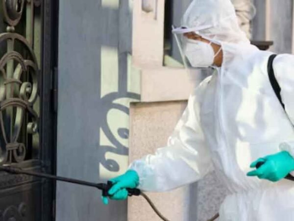 Common-Pest-Challenges-Faced-in-Residential-Areas