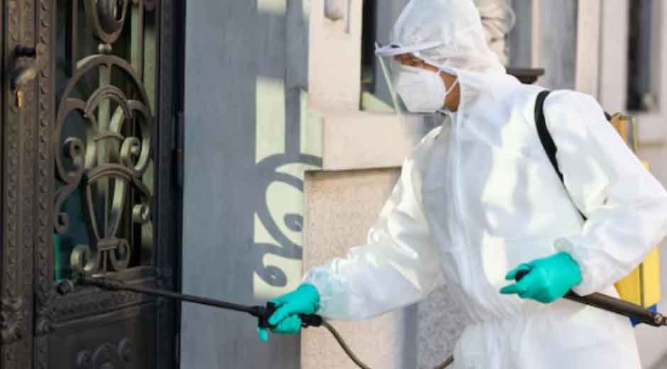 Common-Pest-Challenges-Faced-in-Residential-Areas