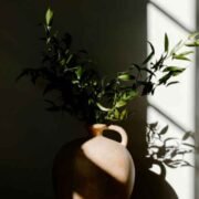 Top 5 Window Upgrades to Brighten Your Home