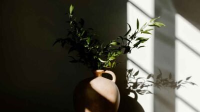 Top 5 Window Upgrades to Brighten Your Home