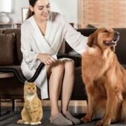 From Damp to Fluffy: The Science Behind Fast Dog Drying at Home