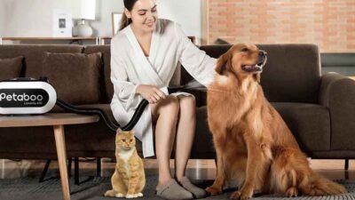 From Damp to Fluffy: The Science Behind Fast Dog Drying at Home