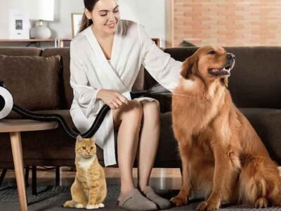 From Damp to Fluffy: The Science Behind Fast Dog Drying at Home