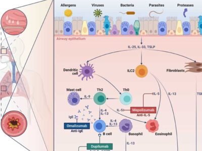 How European Style Deep Cleaning Targets Bacteria & Allergens