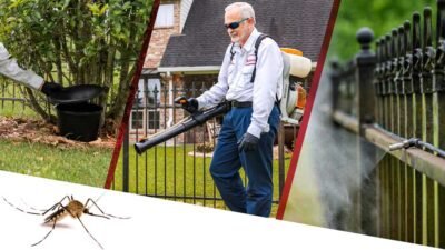 Proven Mosquito Control Strategies That Professionals Offer in Orlando