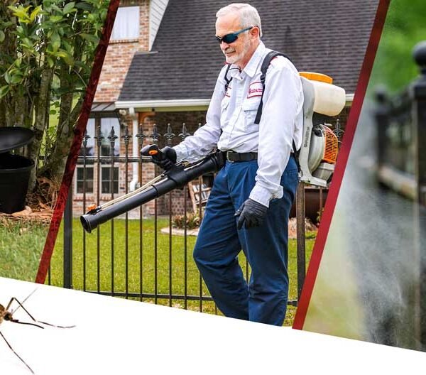 Proven Mosquito Control Strategies That Professionals Offer in Orlando