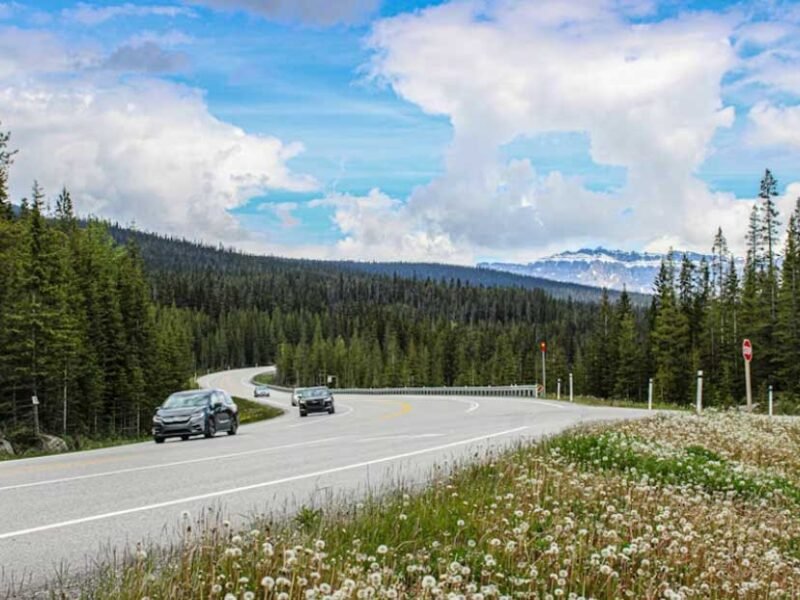 Smart Ways to Stay Safe on Long-Distance Drives in Isolated Areas