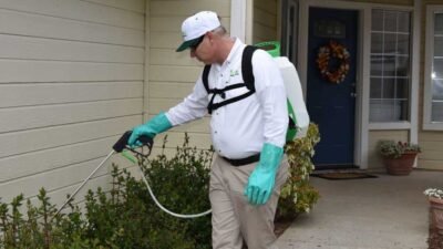 Take Back Your Home: Effective Ways to Control Common Pests