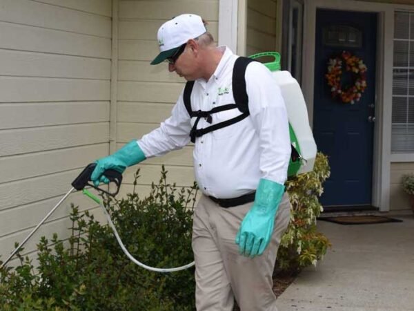 Take Back Your Home: Effective Ways to Control Common Pests