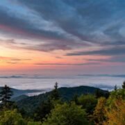 The-Future-of-Tourism-Driven-eCommerce-for-Niche-Producers