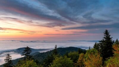 The-Future-of-Tourism-Driven-eCommerce-for-Niche-Producers