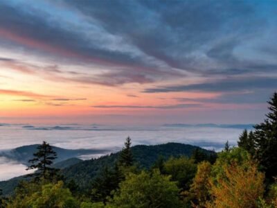 The-Future-of-Tourism-Driven-eCommerce-for-Niche-Producers