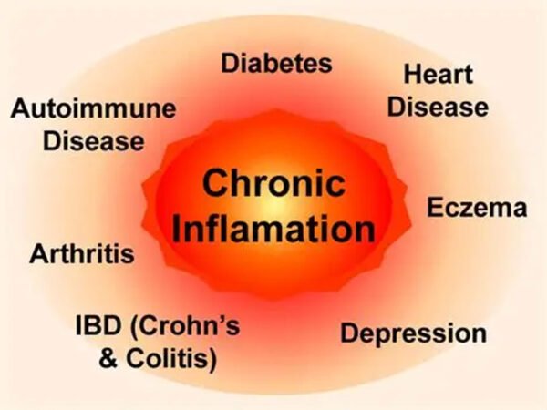 The Link Between Chronic Inflammation and Low Energy