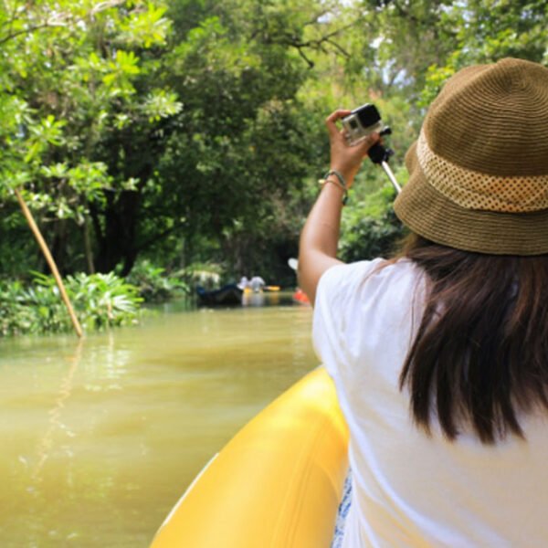 Wildlife Spotting on the Amazon