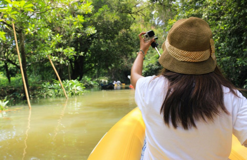 Wildlife Spotting on the Amazon