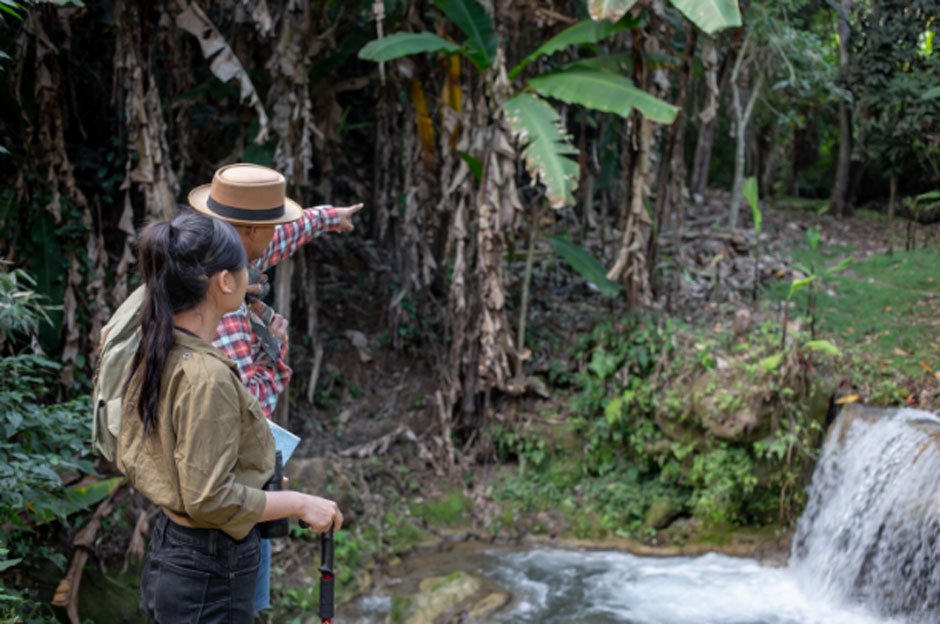 Wildlife Spotting on the Amazon
