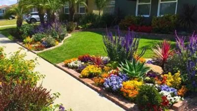 Yard in Full Bloom: Top Flowers for Every Garden