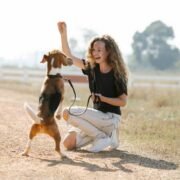 Helpful Tips on How to Replace Undesirable Behaviors in Your Dog