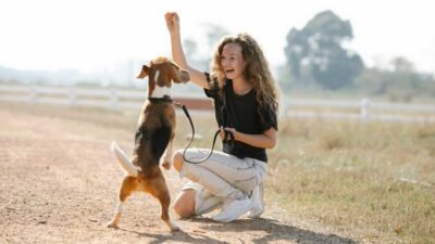 Helpful Tips on How to Replace Undesirable Behaviors in Your Dog