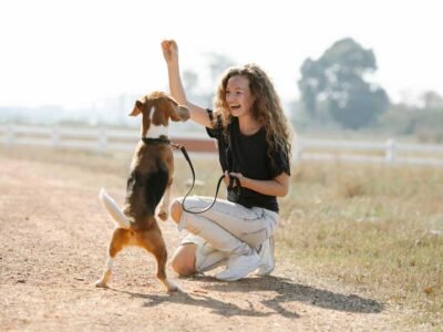 Helpful Tips on How to Replace Undesirable Behaviors in Your Dog